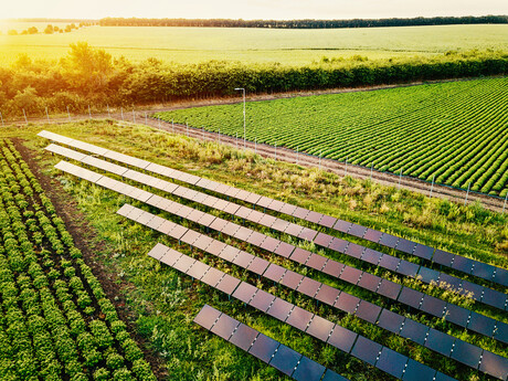 Harvesting solar energy using self-assembled nanoparticles Harvesting solar energy using self-assembled nanoparticles