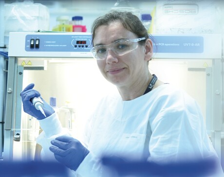 Dipstick test to screen for bat-borne virus