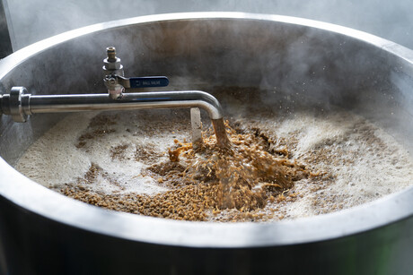 FSANZ calls for comment on beer processing enzyme aid