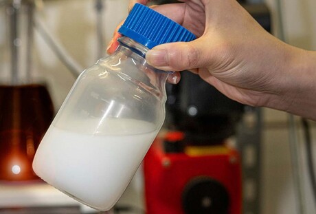 Solvent enables efficient gas separation, carbon capture