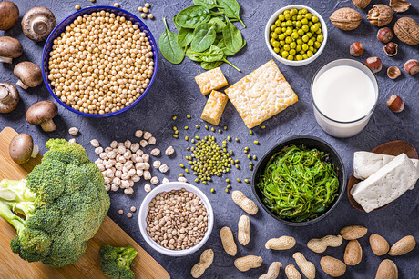 Meat-free proteins, an allergy assessment Meat-free proteins, an allergy assessment