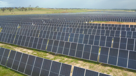 NSW&#39;s largest solar farm officially opened
