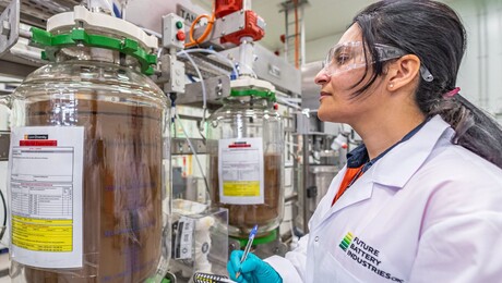$16.9 billion battery opportunity awaits $16.9 billion battery opportunity awaits