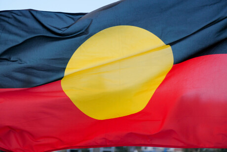 Indigenous representatives for culturally safe health care Indigenous representatives for culturally safe health care