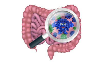 Healthy gut bacteria can boost immunotherapy effectiveness Healthy gut bacteria can boost immunotherapy effectiveness