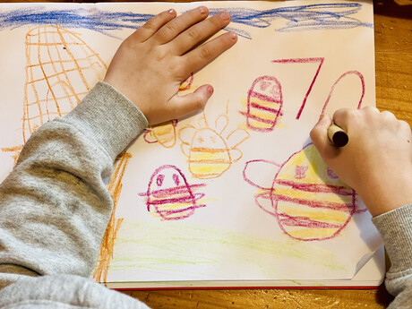 Students take part in plant science comp