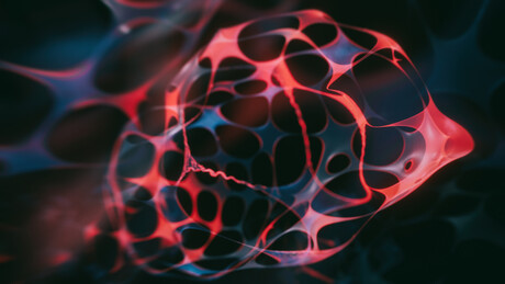 A bioengineered alternative to wound healing