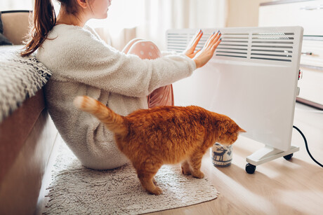 How energy upgrades can boost health at home How energy upgrades can boost health at home