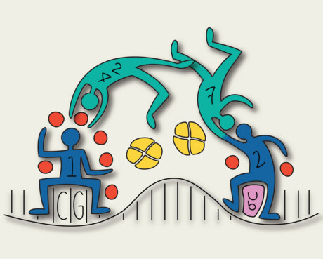 Cellular identity discovery takes scientists by surprise