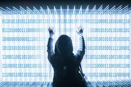 Cybercrime sets the gender equality bar Cybercrime sets the gender equality bar