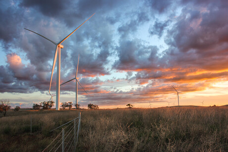 Record-breaking year for renewable energy