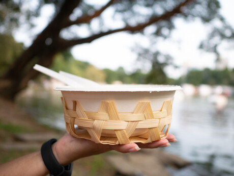 Scientists raise compostable container safety concerns