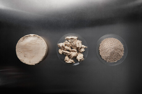 Sustainable fungal protein powder in development
