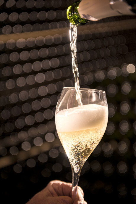 Research confirms Prosecco is a grape variety