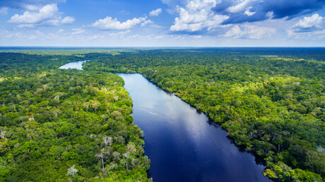 Opportunities for biotech await in the Amazon rainforest Opportunities for biotech await in the Amazon rainforest