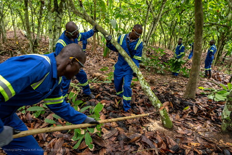 Barry Callebaut sets sustainability targets beyond 2025 Barry Callebaut sets sustainability targets beyond 2025