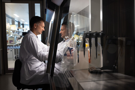 Bioengineering tiny hearts offers insight into heart disease