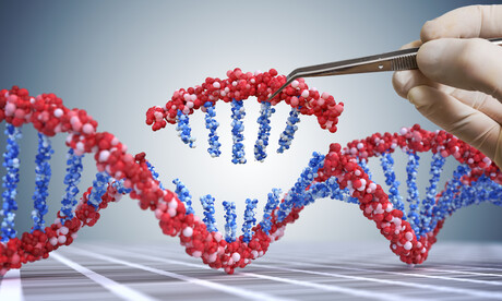 Gene editing strategy could block HIV Gene editing strategy could block HIV