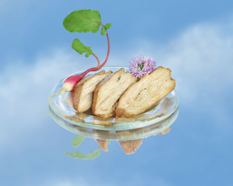 ADM partners with air-based protein company