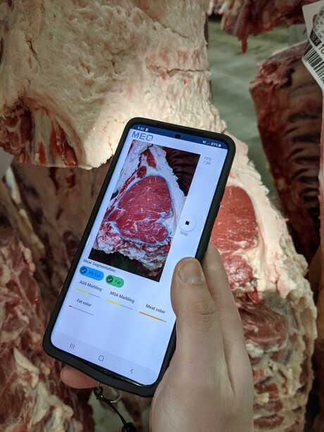 Using the power of AI in meat grading