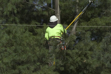 Teen worker injured after apparent powerline contact