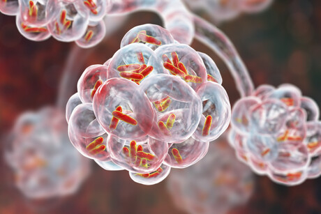 'Bioprospecting' for biological gold to defeat superbugs 'Bioprospecting' for biological gold to defeat superbugs