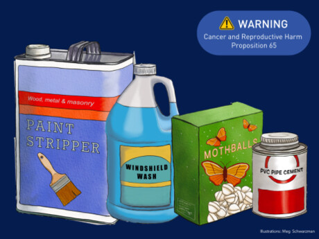 Toxic VOCs released from consumer products