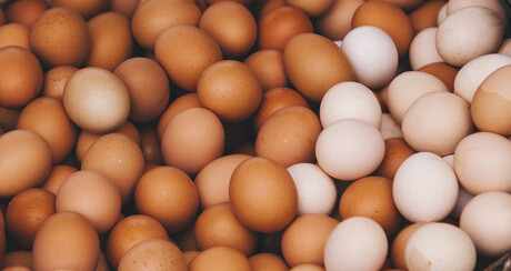 Aussie eggs made safer with traceability tools