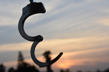 Folbigg pardoning sparks call for more &quot;science-sensitive&quot; legal system