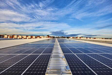 Melbourne Market transforms carpark into solar canopy