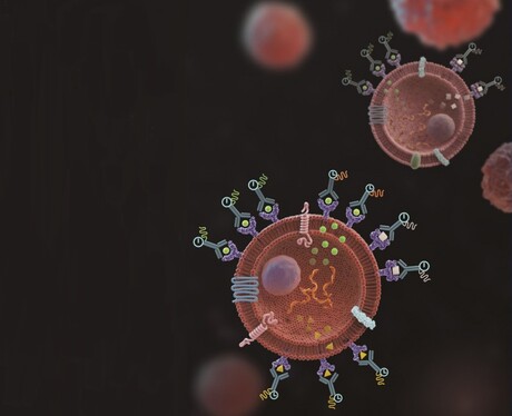 Studying immune response at a single-cell level