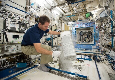 Why does space travel weaken the immune system? Why does space travel weaken the immune system?