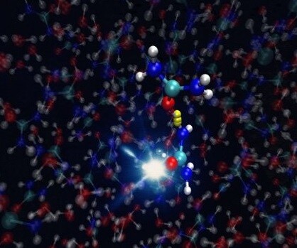 Shedding light on the origins of life on Earth