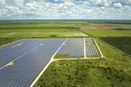 Woolworths commits to 100% renewables for NSW, ACT in &quot;landmark deal&quot;