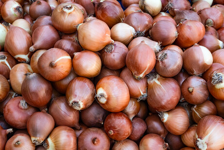 Onion industry joins with AUSVEG