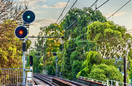 Councils, energy companies fined for failing to keep powerlines clear