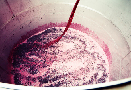 Uncorking the benefits of red wine waste for food colouring