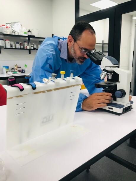 Creating a fish-free omega-3 supplement