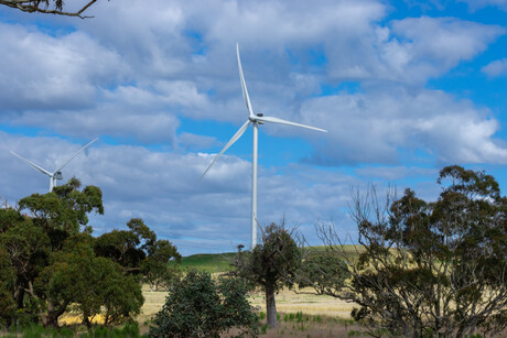 Wind and solar remain the cheapest for electricity generation: report