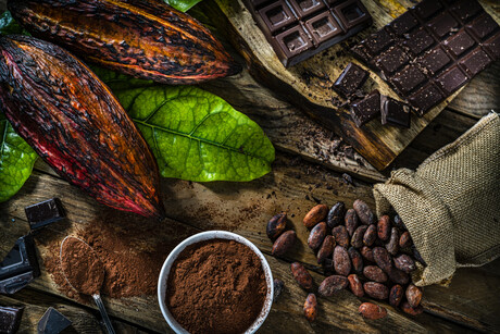 Chocolate manufacturers to face elevated cocoa and sugar prices