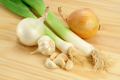 Top five foods rich in prebiotics