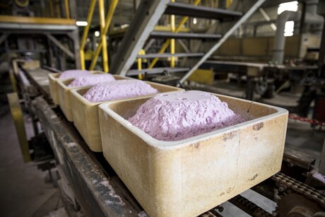 Lynas to build rare earths processing facility in Texas