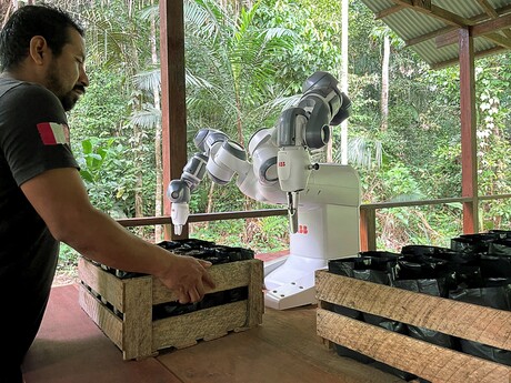A robot in the rainforest A robot in the rainforest