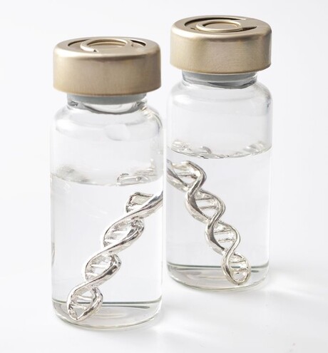 RNA therapy activates dendritic cells to combat melanoma