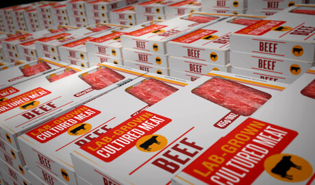 FSANZ and Vow Group representatives to speak at AltProteins 23