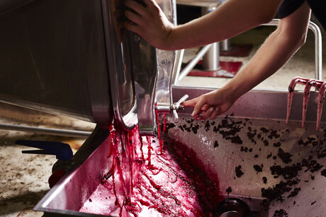 Countdown is on for NZ Young Viticulturist of the Year