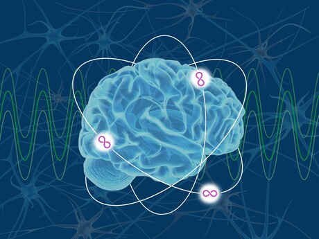 Brain protein deficiency promotes compulsive behaviour Brain protein deficiency promotes compulsive behaviour