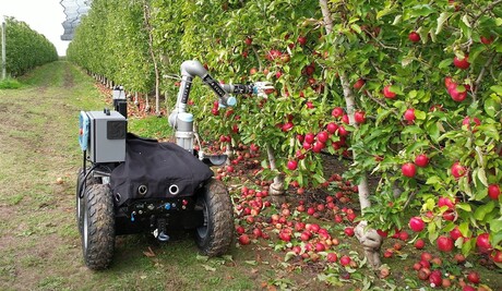 Apple harvesting robot a Victorian engineering winner