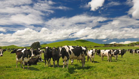Fonterra releases FY23 Annual Results