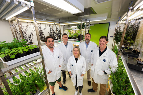 QUT researchers to lead insect pest project